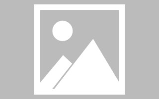 东方网页设计英文默认字体（网页设置英文转换中文）